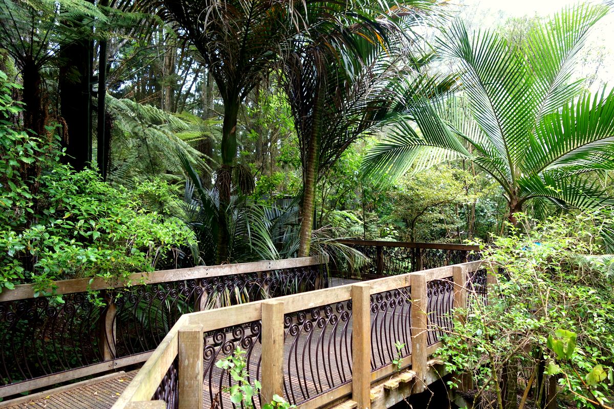 奥克兰动物园｜Auckland Zoo