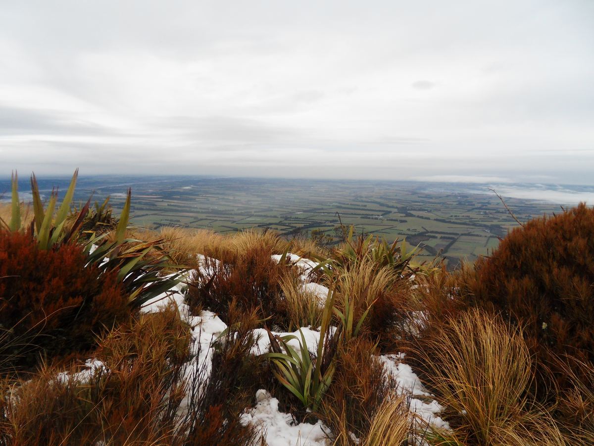 坎特伯雷平原｜Canterbury Plains