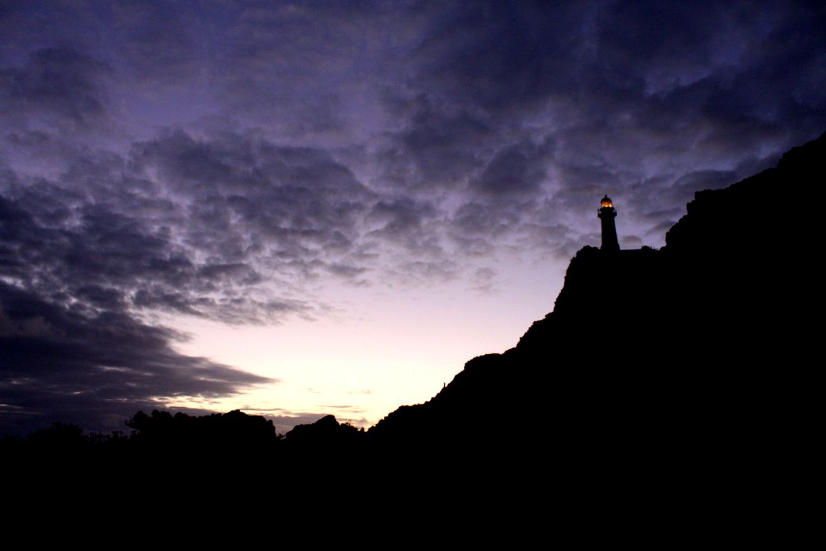 东剑岬灯塔与海狮｜Cape Palliser Lighthouse