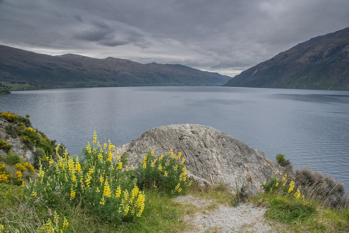 瓦卡蒂普湖｜Lake Wakatipu