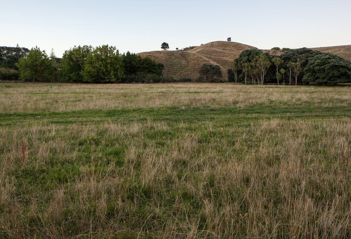 长湾景观保护区｜Long Bay Regional Park