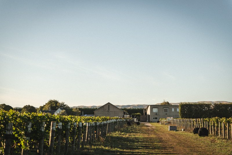马丁堡葡萄酒区｜Martinborough Wineries