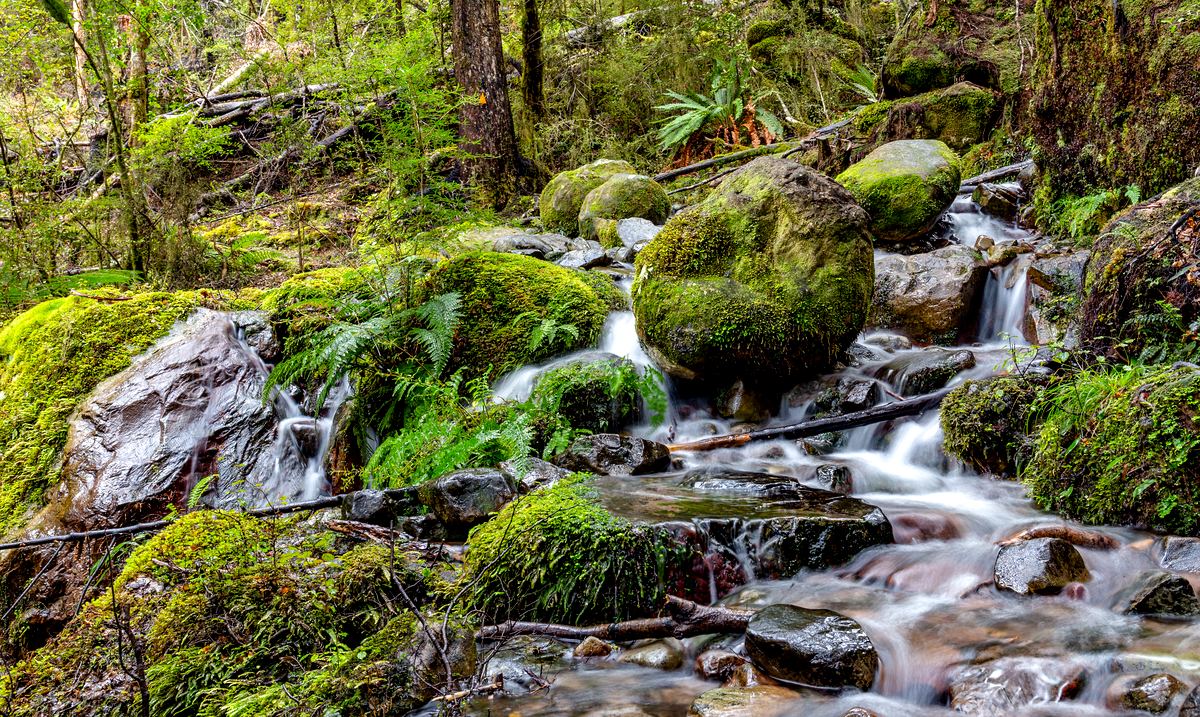 纳尔逊湖国家公园｜Nelson Lakes National Park