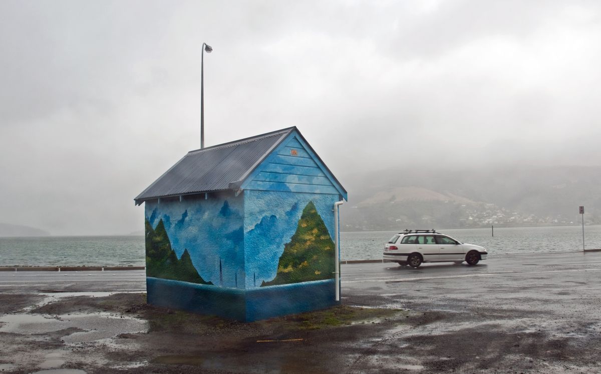 但尼丁奥塔哥半岛｜Otago Peninsula