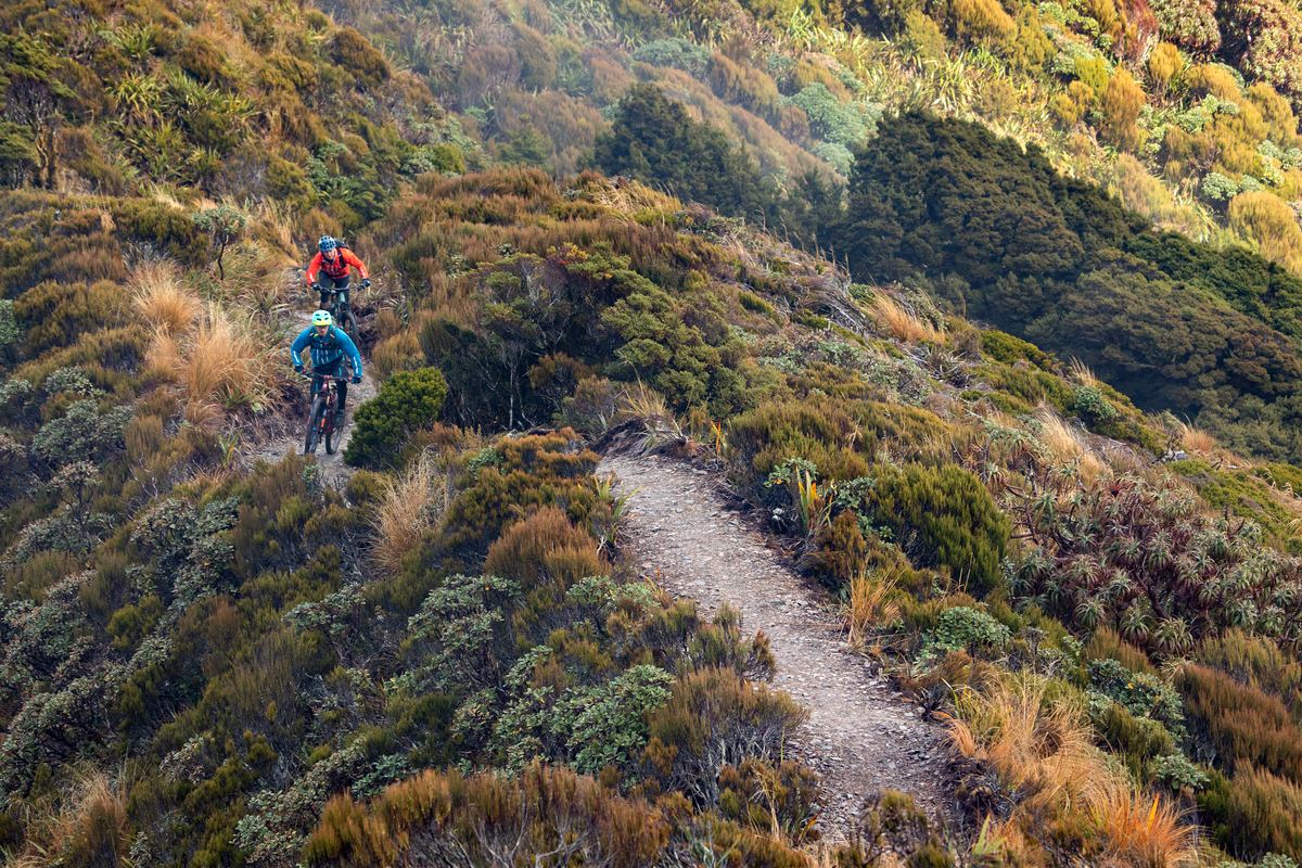 帕帕罗阿国家公园｜Paparoa National Park