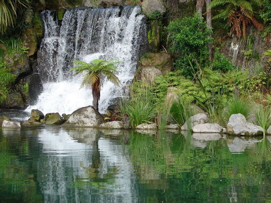 彩虹泉自然公园｜Rainbow Springs Nature Park, Rotorua