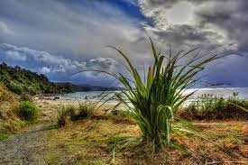 斯图尔特岛全景徒步｜Stewart Island/Rakiura Track