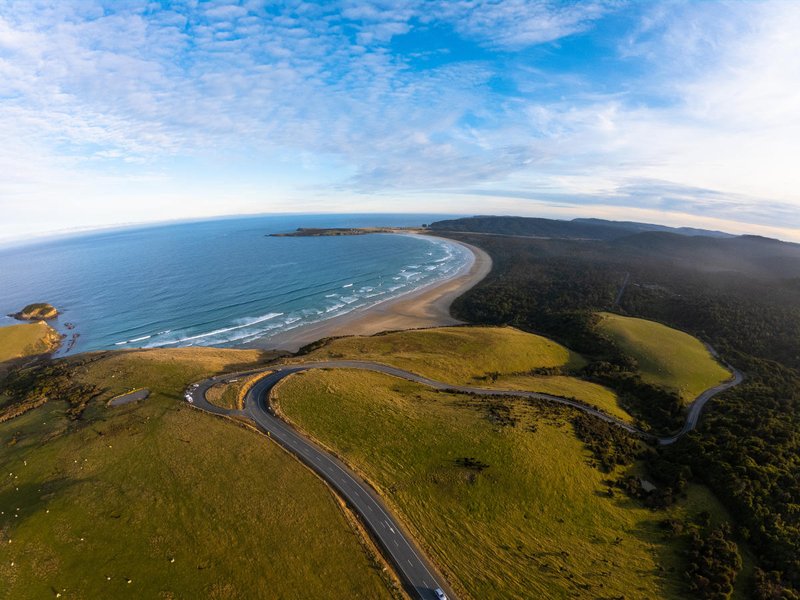 卡特琳斯森林公园｜The Catlins