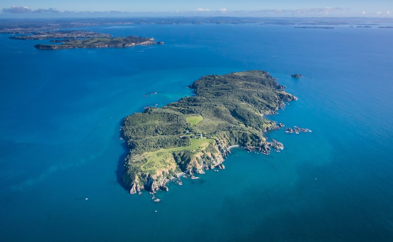 鸟岛生态保护区｜Tiritiri Matangi Island